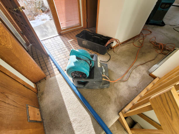 Best Emergency water extraction  in Ke Charles, LA