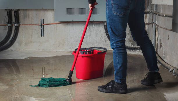 Best Flooded house restoration  in Ke Charles, LA