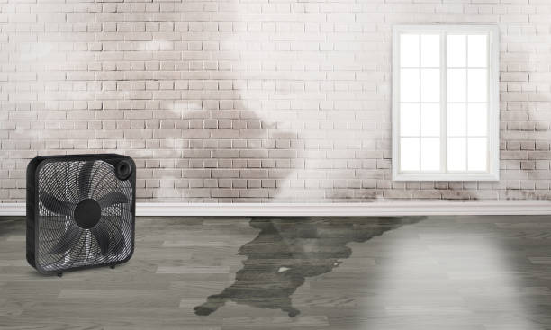 Best Water damage contractors near me  in Ke Charles, LA