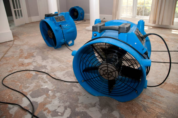 Best Water damage repair service  in Ke Charles, LA
