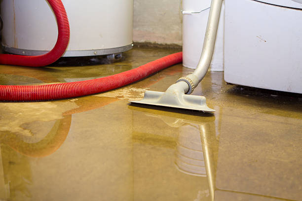 Best Water damage cleanup near me  in Ke Charles, LA