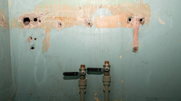 Reliable Lake Charles, LA Water damage restoration Solutions