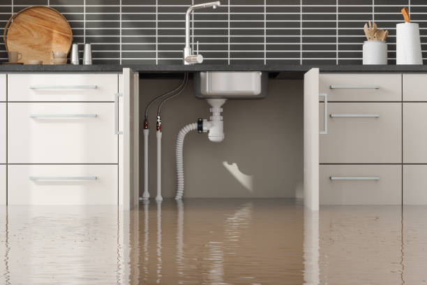 Best Water damage contractors near me  in Ke Charles, LA
