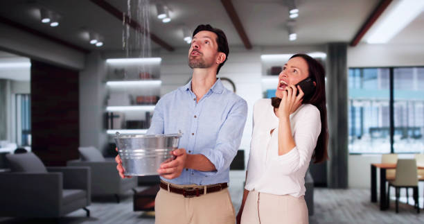 Best Carpet water damage restoration  in Ke Charles, LA