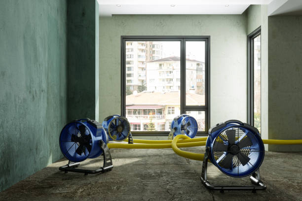 Best Water damage restoration near me  in Ke Charles, LA