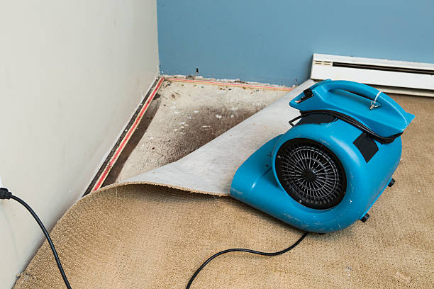 Best Fire Damage Restoration  in Ke Charles, LA
